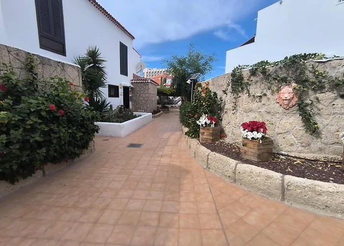 Paraiso Royal Americas 公寓 美洲海滩